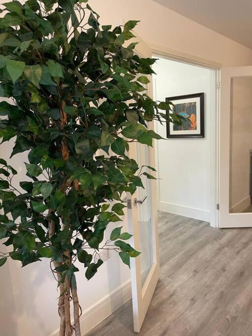 Stunning And Spacious 2Bed Flat In Central Woking Exterior photo